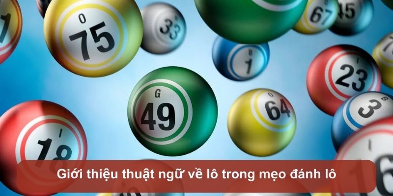 Giới thiệu thuật ngữ về lô trong mẹo đánh lô j88 